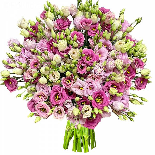 Lisianthus Duo di rose