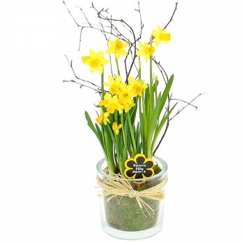 Floral composition - Granny