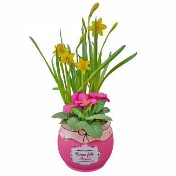 Floral composition - Granny Sweetness