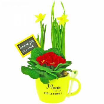 Flowering plant - best granny