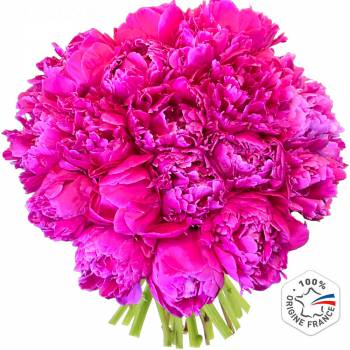 Bouquet of flowers - Wonderful Peonies