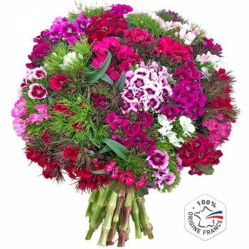 Bouquet de fleurs - Oeillets de Poète