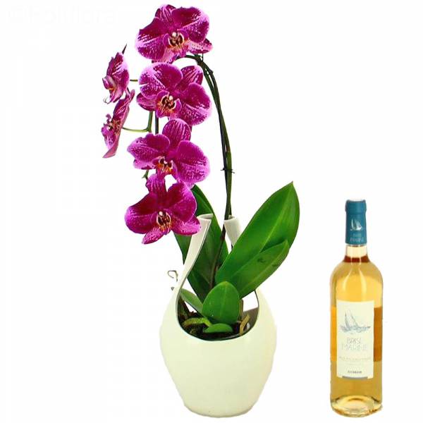 Orchidée et Vin Rosé