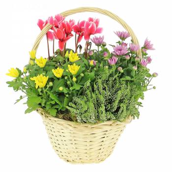  - All Saints' Day Basket