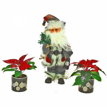 All products - Santa and poinsettia