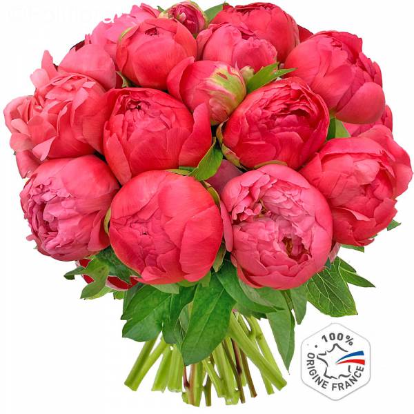 Peonie con fascino di corallo