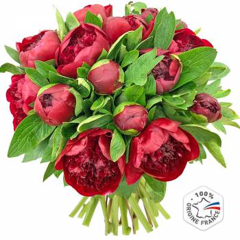 Bouquet de fleurs - Pivoines Red Charm