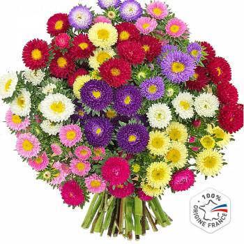 Bouquet of flowers - Queen Daisies