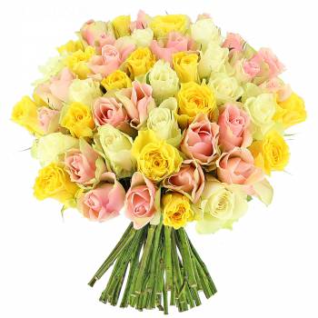 Bouquet de roses - Roses Candy