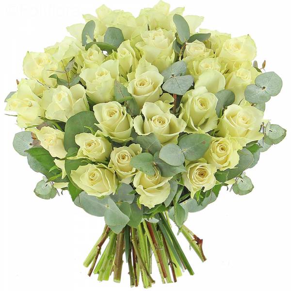 Pearls Roses