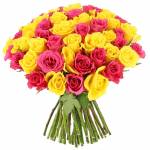 roses-rose-jaune