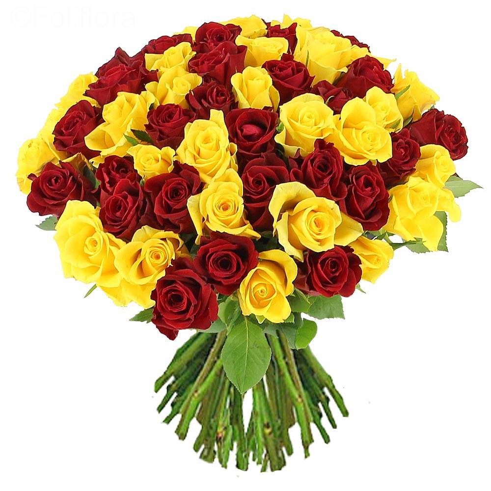 Livraison roses tropic - 25 roses - Bouquet de roses - Foliflora
