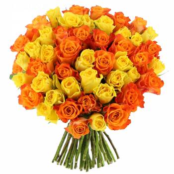 Bouquet of roses - Sunrise Roses