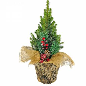 Livraison sapin de noël décoré - Plante verte - Foliflora