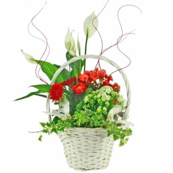 Floral composition - Basketry Wedding